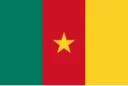 世足國家隊國旗 喀麥隆